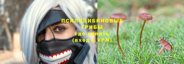 гашик Алзамай