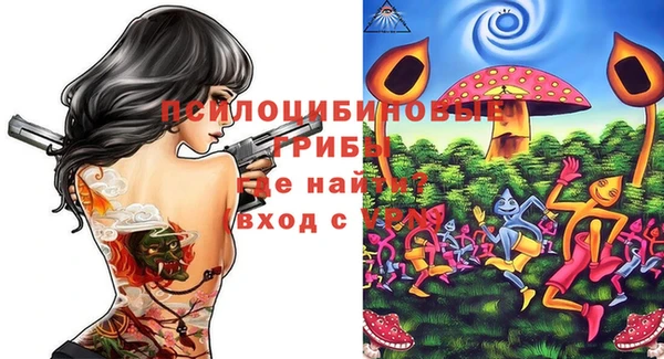 гашик Алзамай