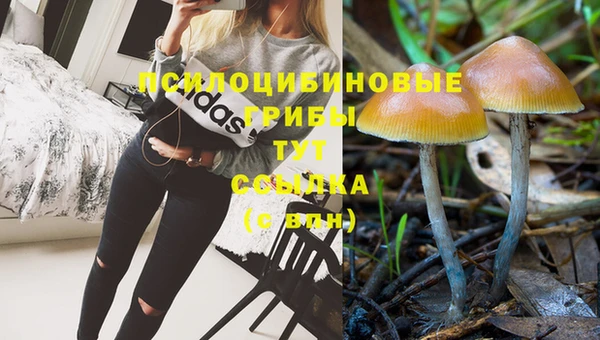 гашик Алзамай