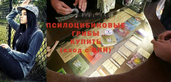 гашик Алзамай