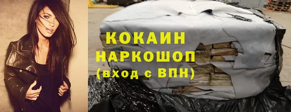 молекула духа Михайловск